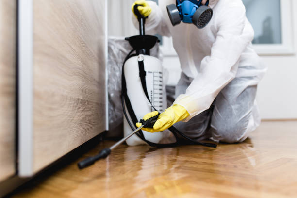 Best Pest Removal Services  in Lathrop, CA