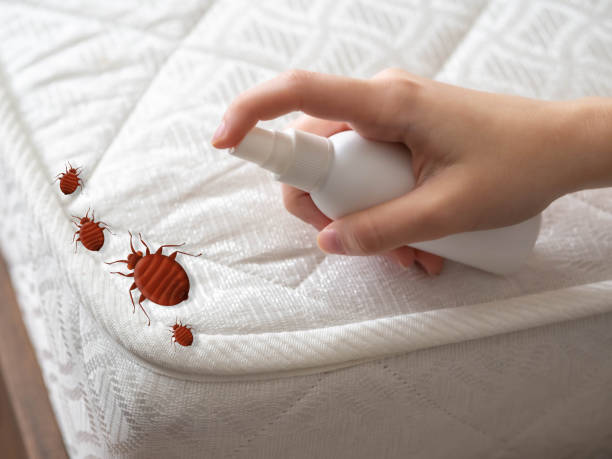 Best Affordable Pest Control Services  in Lathrop, CA
