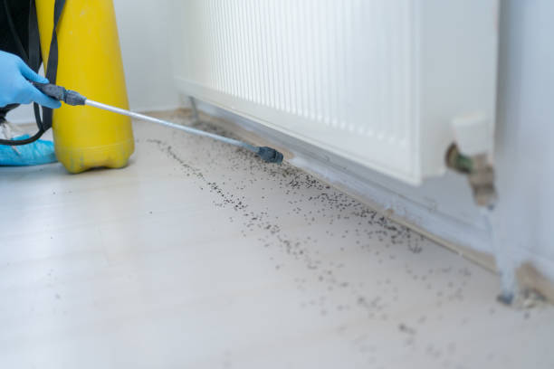 Best Pest Prevention Services  in Lathrop, CA
