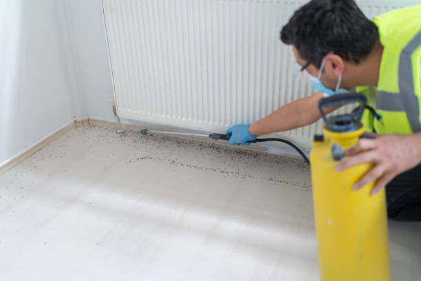 Best Pest Control Near Me in Lathrop, CA